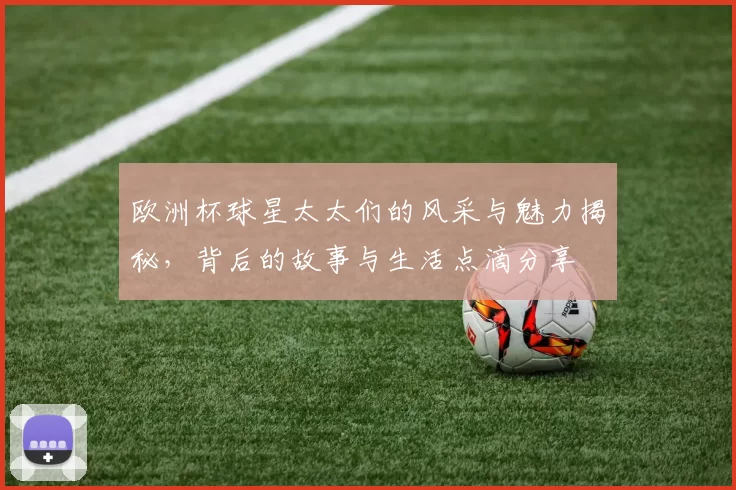 欧洲杯球星太太们的风采与魅力揭秘，背后的故事与生活点滴分享