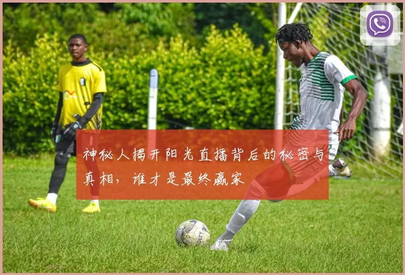 神秘人揭开阳光直播背后的秘密与真相，谁才是最终赢家