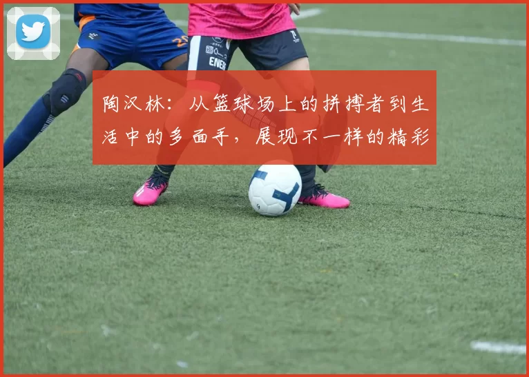 陶汉林：从篮球场上的拼搏者到生活中的多面手，展现不一样的精彩人生